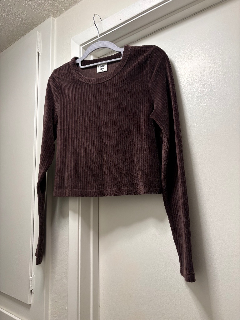 Sunday Best / Aritzia Ribbed Velour Crop Sweatshirt - Size Medium